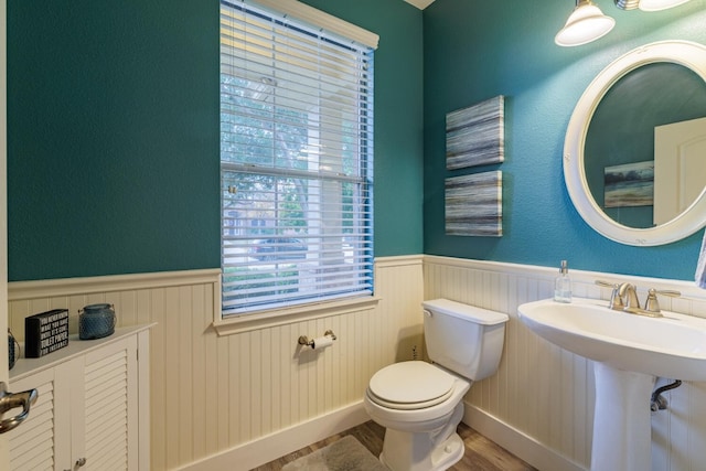 bathroom with hardwood / wood-style floors and toilet