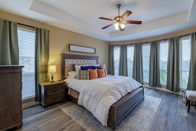 bedroom featuring multiple windows, a raised ceiling, and wood finished floors