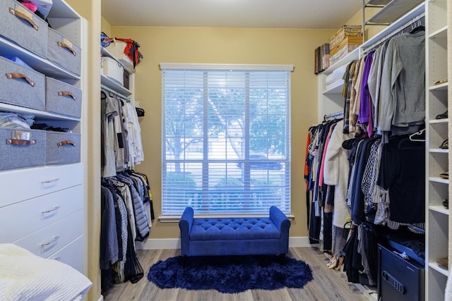 spacious closet with light hardwood / wood-style flooring