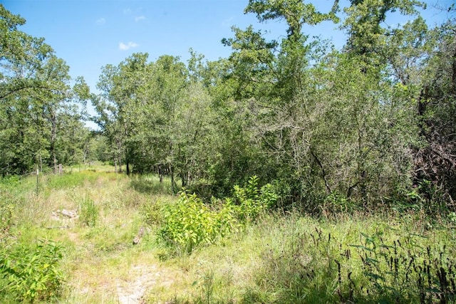 3517 County Road 127, Ledbetter, TX 78946