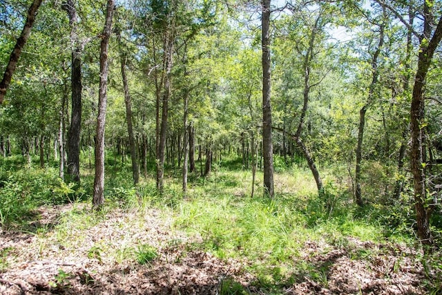 3517 County Road 127, Ledbetter, TX 78946