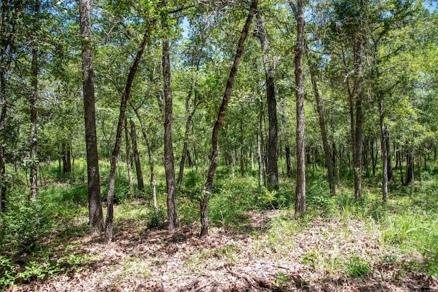 3517 County Road 127, Ledbetter, TX 78946