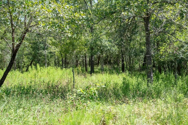 3517 County Road 127, Ledbetter, TX 78946