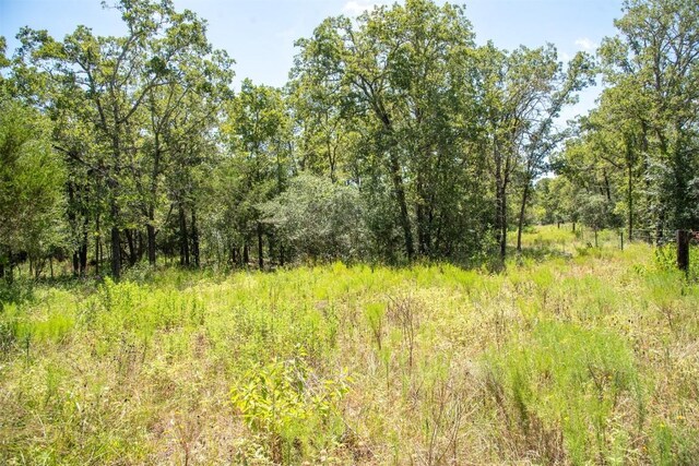 3517 County Road 127, Ledbetter, TX 78946