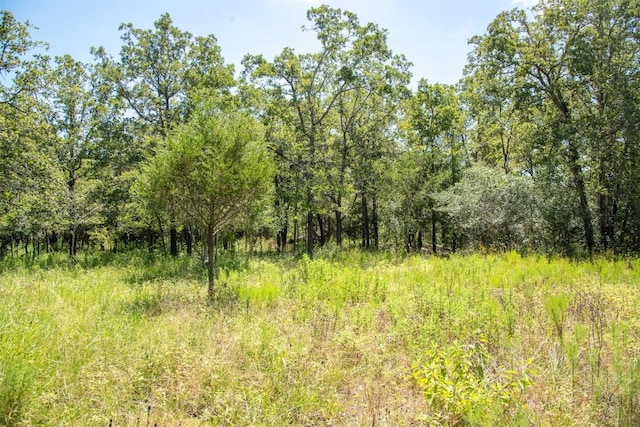 3517 County Road 127, Ledbetter, TX 78946