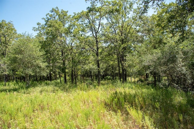 3517 County Road 127, Ledbetter, TX 78946