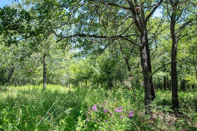 3517 County Road 127, Ledbetter, TX 78946