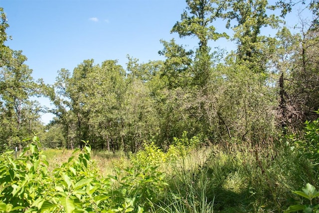 3517 County Road 127, Ledbetter, TX 78946