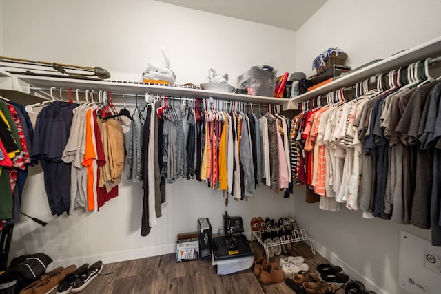 spacious closet with dark wood-type flooring