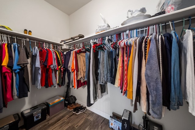 spacious closet with hardwood / wood-style floors