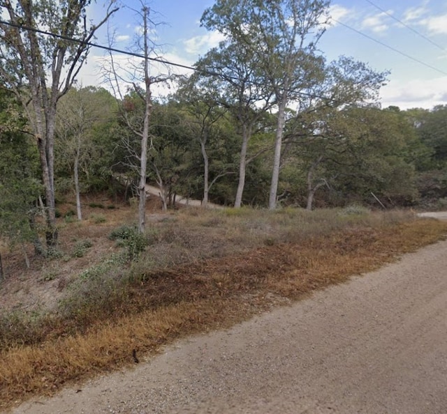 Address Not Disclosed, Bastrop TX, 78602 land for sale