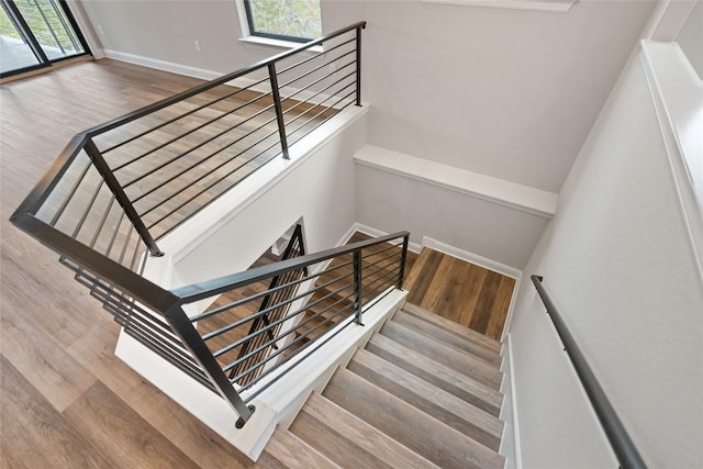 stairs with wood-type flooring