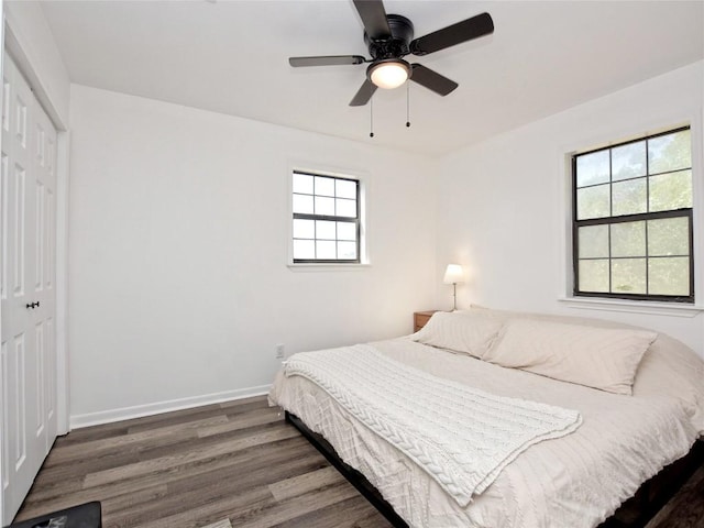 bedroom featuring multiple windows, ceiling fan, a closet, and dark wood-type flooring