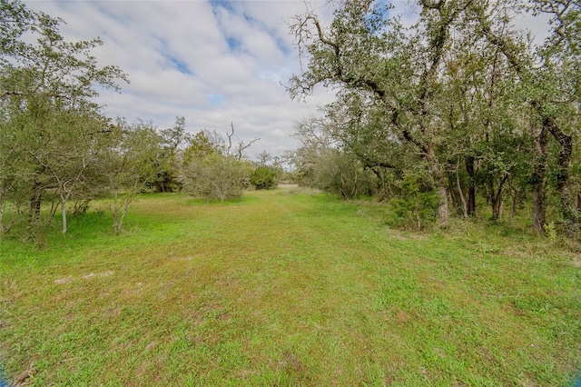 view of local wilderness