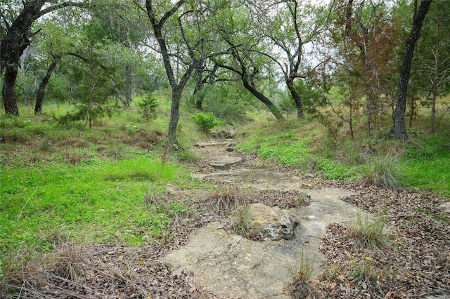 view of nature