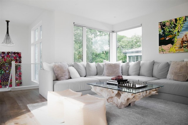 living room featuring hardwood / wood-style floors