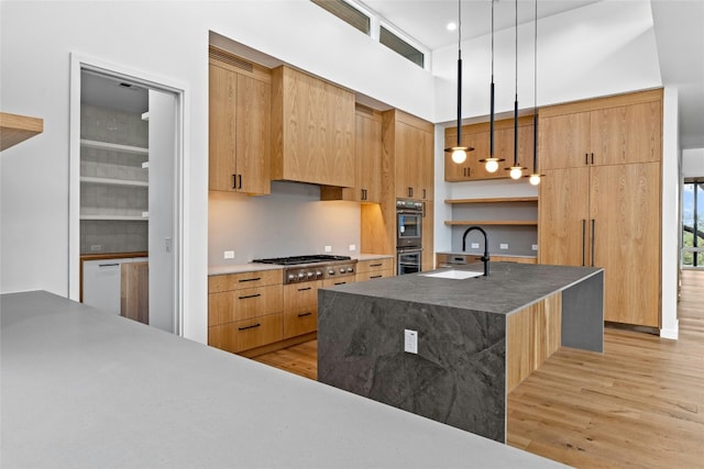 2206 Trail Of The Madrones, Austin, TX 78746 - kitchen featuring appliances with stainless steel finishes, light wood-type flooring, sink, decorative light fixtures, and an island with sink