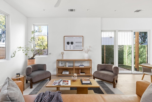 living room with ceiling fan and light wood-type flooring