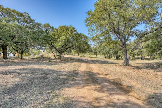 Listing photo 3 for Address Not Disclosed, Kingsland TX 78639