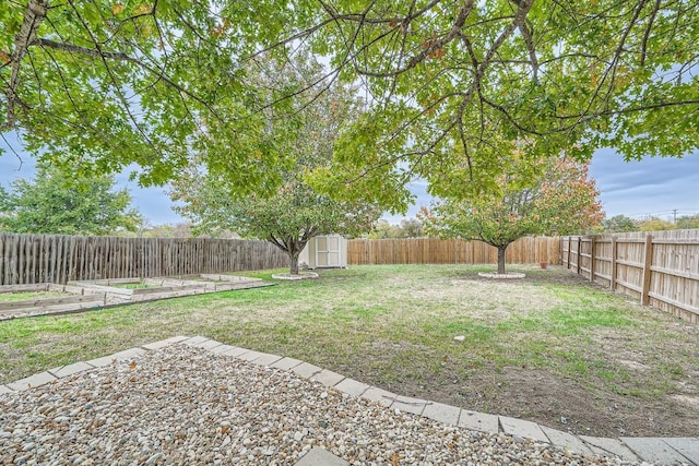 view of yard featuring a storage shed