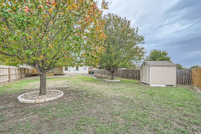 view of yard featuring a shed