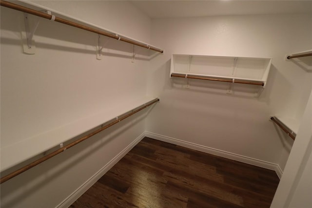 spacious closet featuring dark hardwood / wood-style floors