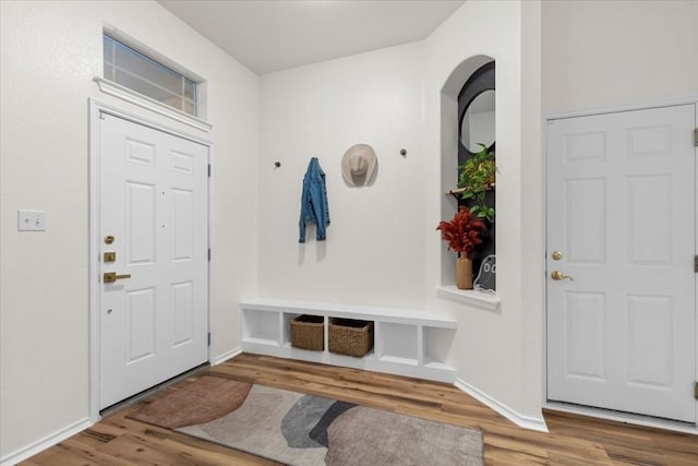 mudroom featuring hardwood / wood-style floors