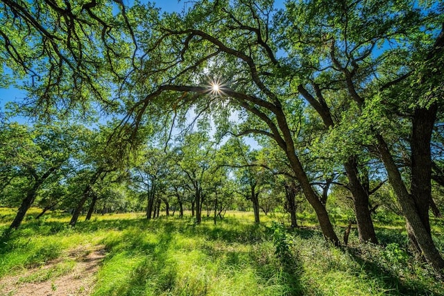 Listing photo 3 for TBD Ligon-Smith Ln, Johnson City TX 78636