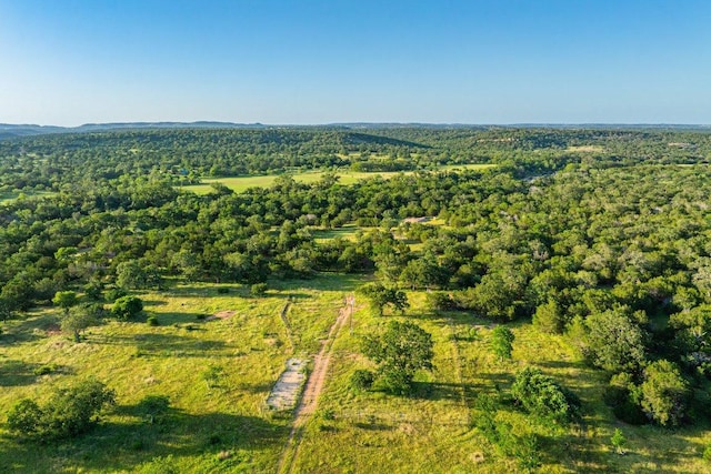 00 Ligon-Smith Ln, Johnson City, TX 78636 - photo 7