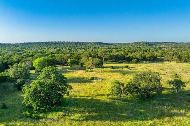 00 Ligon-Smith Ln, Johnson City, TX 78636 - photo 22