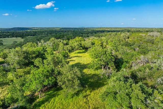 00 Ligon-Smith Ln, Johnson City, TX 78636 - photo 25
