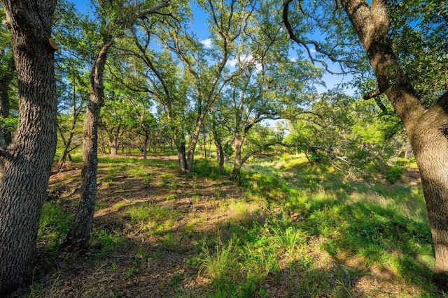 00 Ligon-Smith Ln, Johnson City, TX 78636 - photo 37