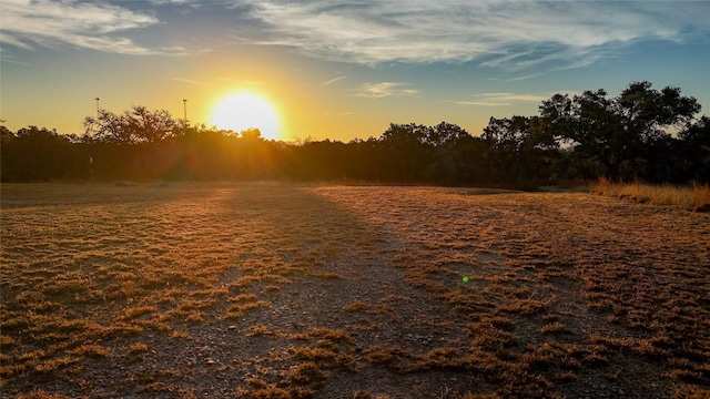 view of nature at dusk