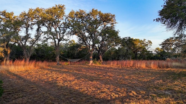 view of landscape