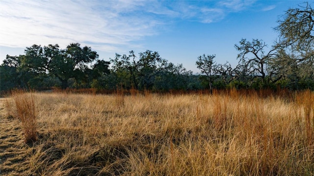 view of local wilderness