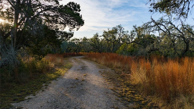 view of road