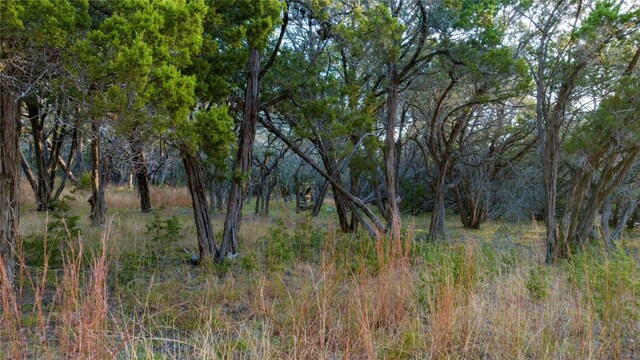 view of landscape