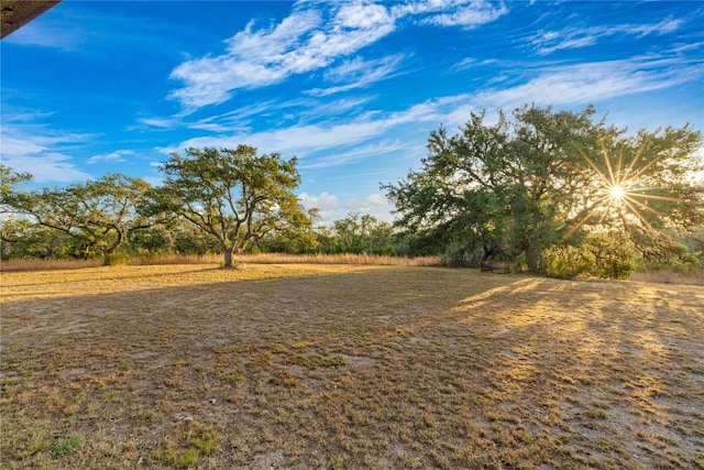 view of yard featuring a rural view