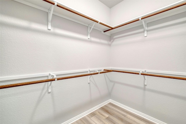 spacious closet featuring wood-type flooring