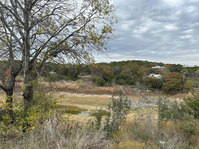 19529 Adrian Way, Lago Vista TX, 78645 land for sale