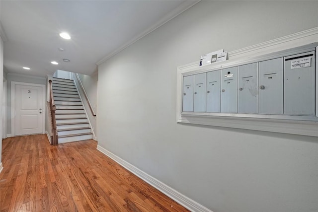 hallway featuring mail boxes, light wood-type flooring, and crown molding