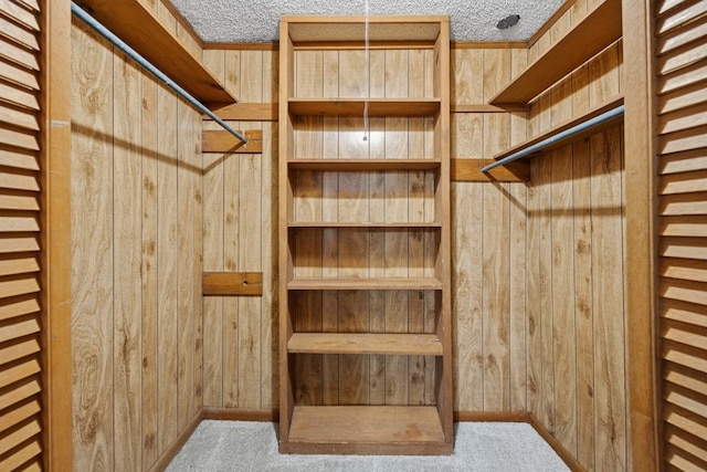 walk in closet with light carpet