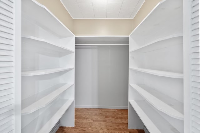 spacious closet with hardwood / wood-style flooring