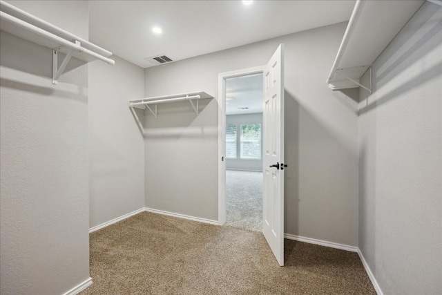 spacious closet with carpet