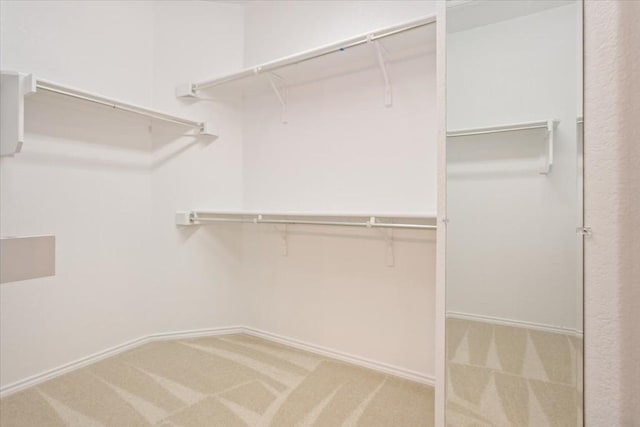 walk in closet featuring carpet floors