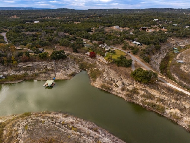 23521 Flat Creek Dr, Marble Falls, TX 78654 - photo 9