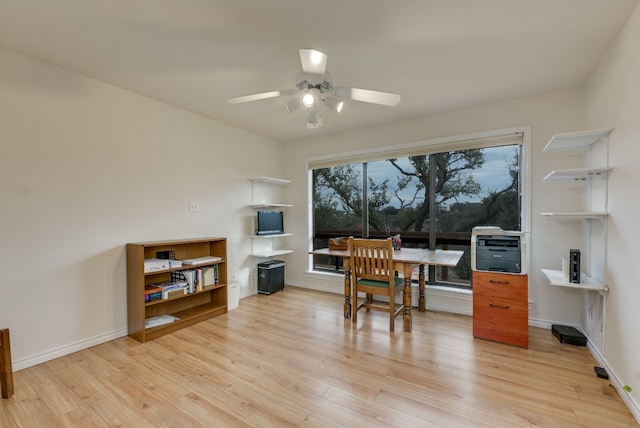 office featuring ceiling fan and light hardwood / wood-style floors