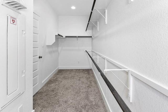 walk in closet with carpet floors