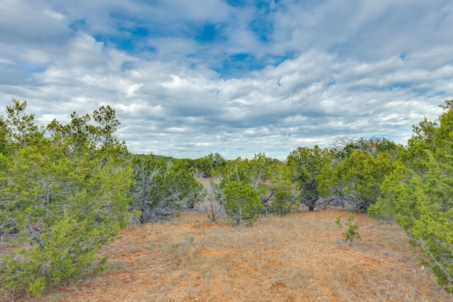 0 Foley Cir, Marble Falls, TX 78654 - photo 5