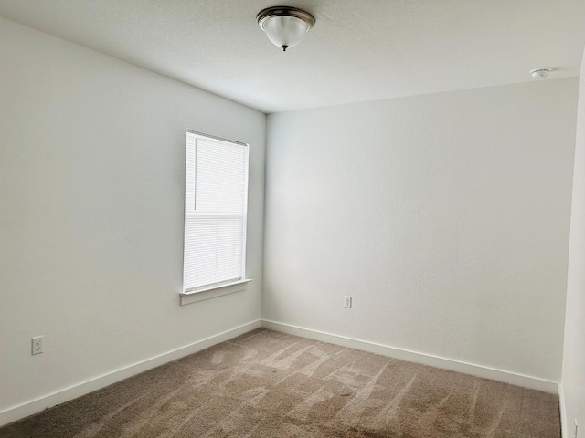 carpeted spare room with a wealth of natural light